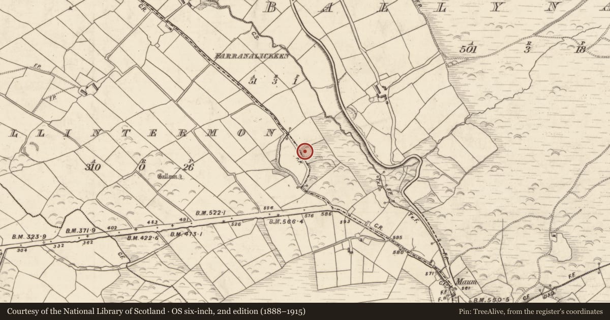 Ordnance Survey six-inch map, 2nd edition (1888–1915) covering the location of Ringfort - rath, Farranalickeen, County Kerry, with a pin at the register's coordinates