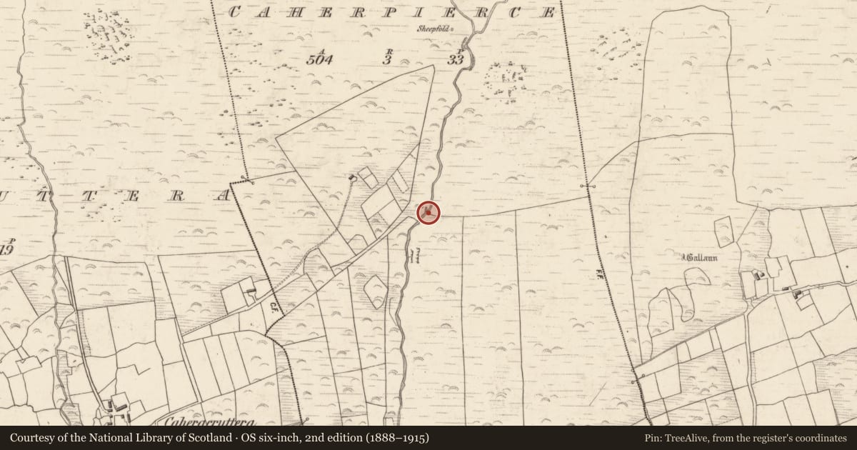 Ordnance Survey six-inch map, 2nd edition (1888–1915) covering the location of Ritual site - holy well, Caherpierce, County Kerry, with a pin at the register's coordinates