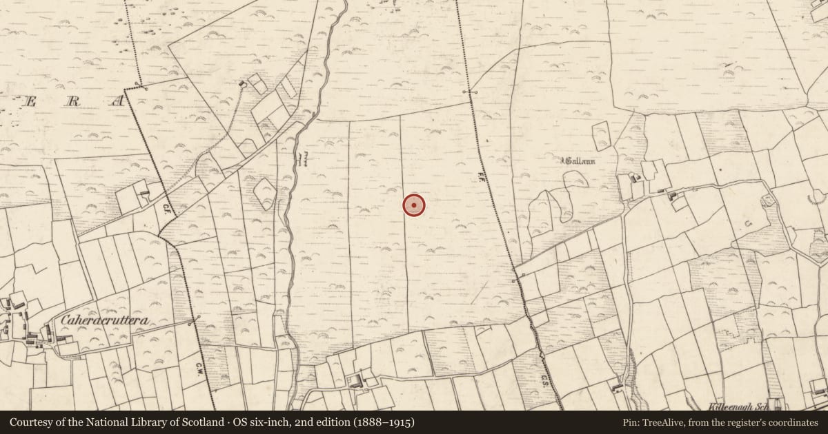 Ordnance Survey six-inch map, 2nd edition (1888–1915) covering the location of Enclosure, Caherpierce, County Kerry, with a pin at the register's coordinates