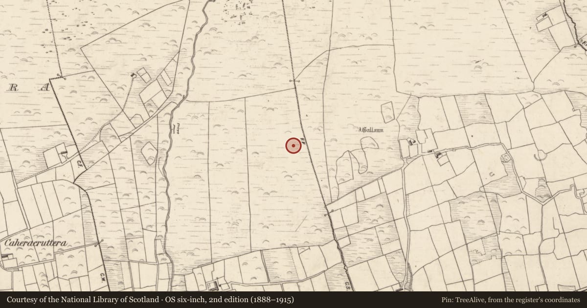 Ordnance Survey six-inch map, 2nd edition (1888–1915) covering the location of Souterrain, Caherpierce, County Kerry, with a pin at the register's coordinates