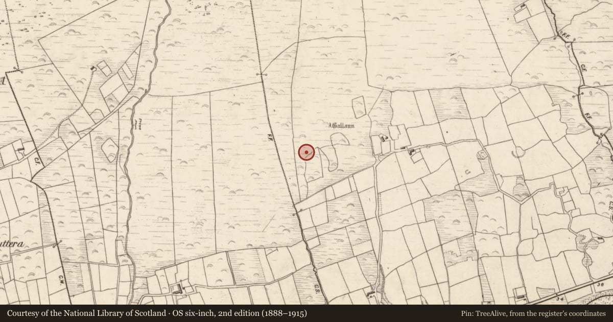 Ordnance Survey six-inch map, 2nd edition (1888–1915) covering the location of Enclosure, Killeenagh, County Kerry, with a pin at the register's coordinates