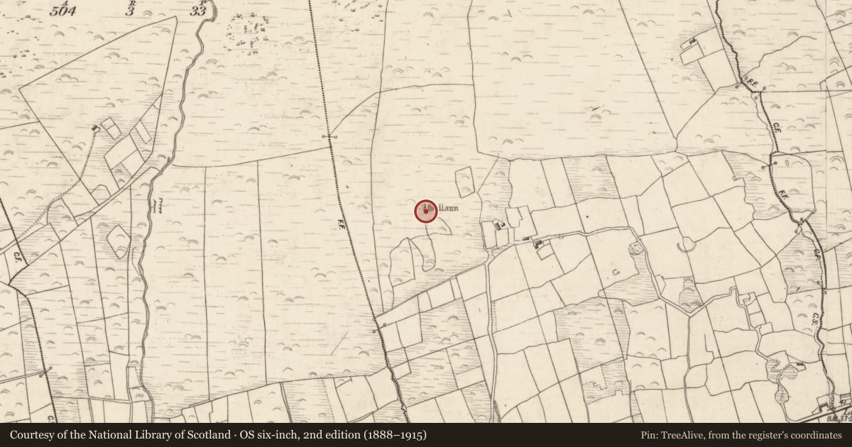 Ordnance Survey six-inch map, 2nd edition (1888–1915) covering the location of Standing stone, Killeenagh, County Kerry, with a pin at the register's coordinates