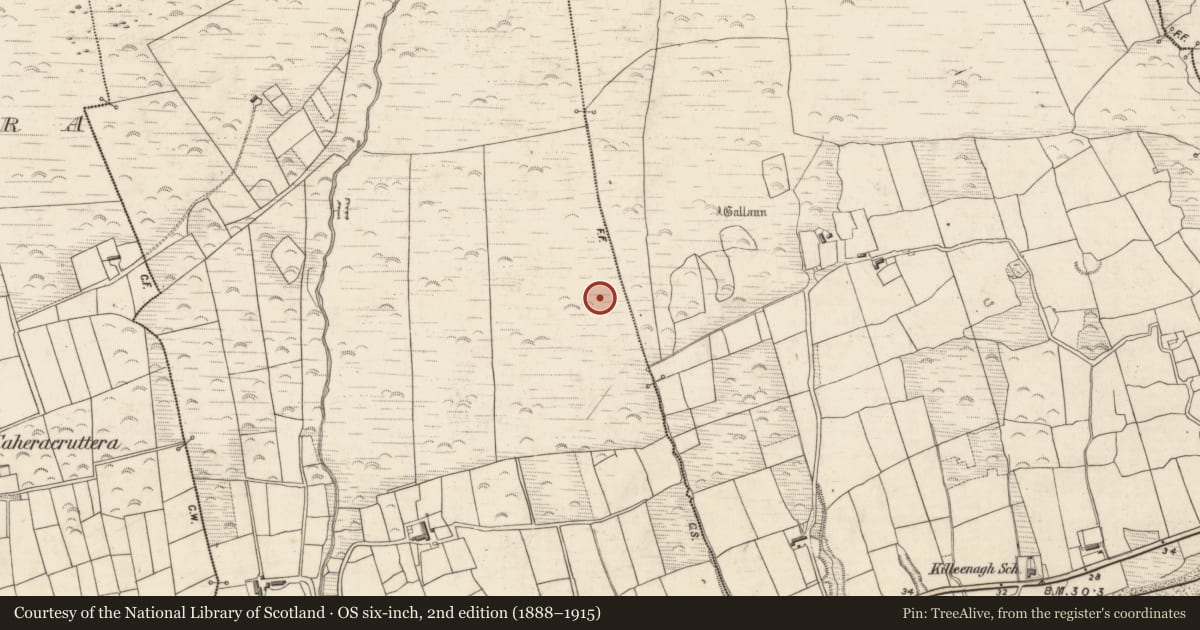 Ordnance Survey six-inch map, 2nd edition (1888–1915) covering the location of Hut site, Caherpierce, County Kerry, with a pin at the register's coordinates