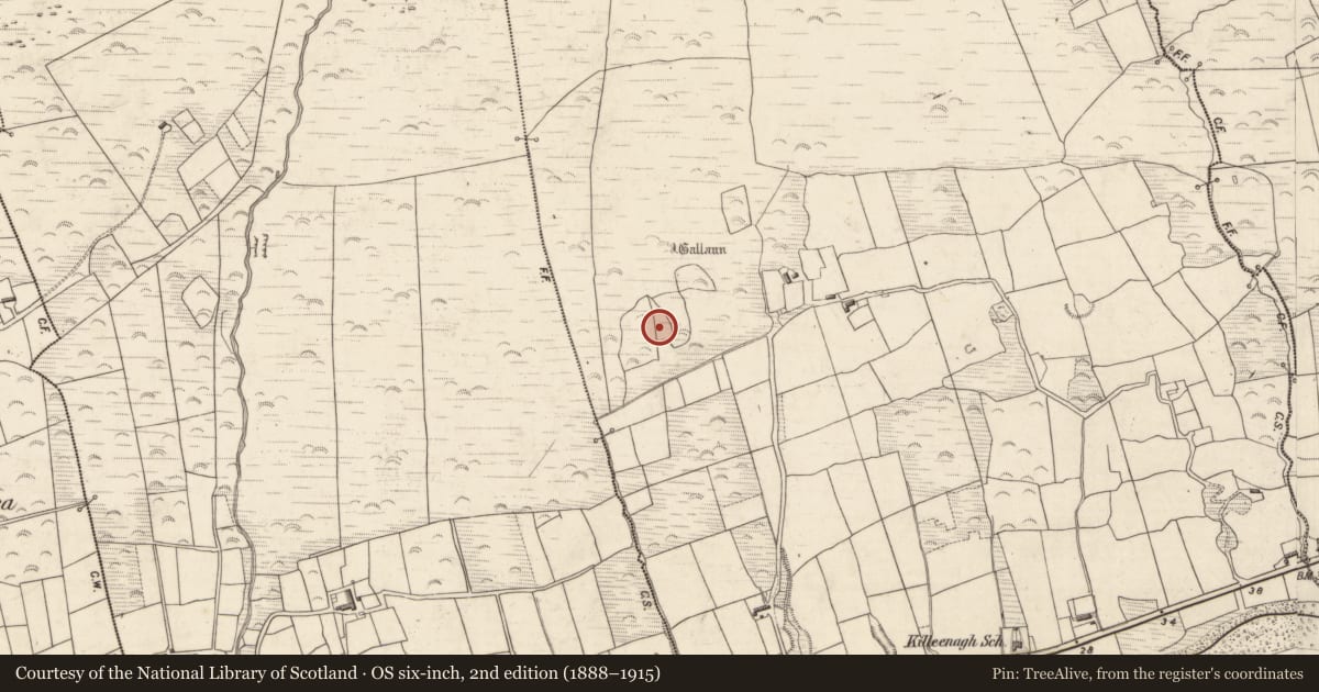 Ordnance Survey six-inch map, 2nd edition (1888–1915) covering the location of Field system, Killeenagh, County Kerry, with a pin at the register's coordinates