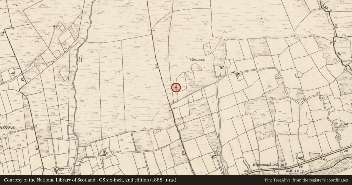 Ordnance Survey six-inch map, 2nd edition (1888–1915) covering the location of Hut site, Killeenagh, County Kerry, with a pin at the register's coordinates