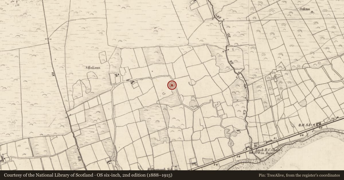 Ordnance Survey six-inch map, 2nd edition (1888–1915) covering the location of Ringfort - cashel, Killeenagh, County Kerry, with a pin at the register's coordinates
