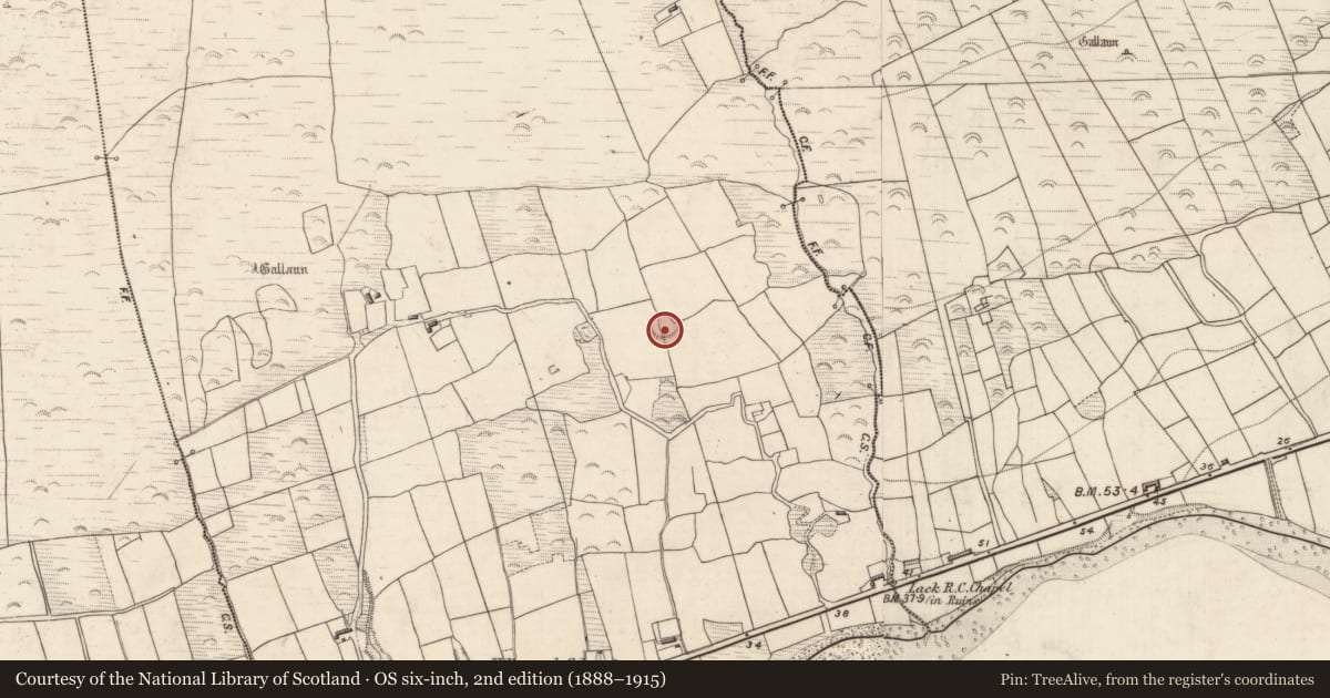 Ordnance Survey six-inch map, 2nd edition (1888–1915) covering the location of Ringfort - rath, Killeenagh, County Kerry, with a pin at the register's coordinates