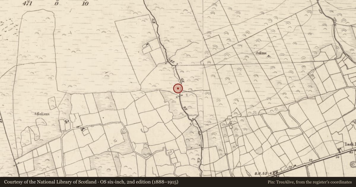 Ordnance Survey six-inch map, 2nd edition (1888–1915) covering the location of Burial ground, Killeenagh, County Kerry, with a pin at the register's coordinates