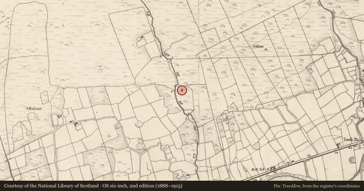 Ordnance Survey six-inch map, 2nd edition (1888–1915) covering the location of Kiln - corn-drying, Lack, County Kerry, with a pin at the register's coordinates