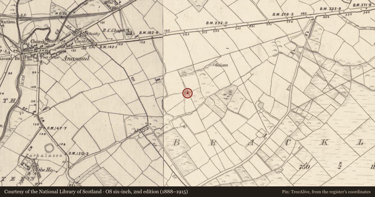 Ordnance Survey six-inch map, 2nd edition (1888–1915) covering the location of Ogham stone, Brackloon, County Kerry, with a pin at the register's coordinates
