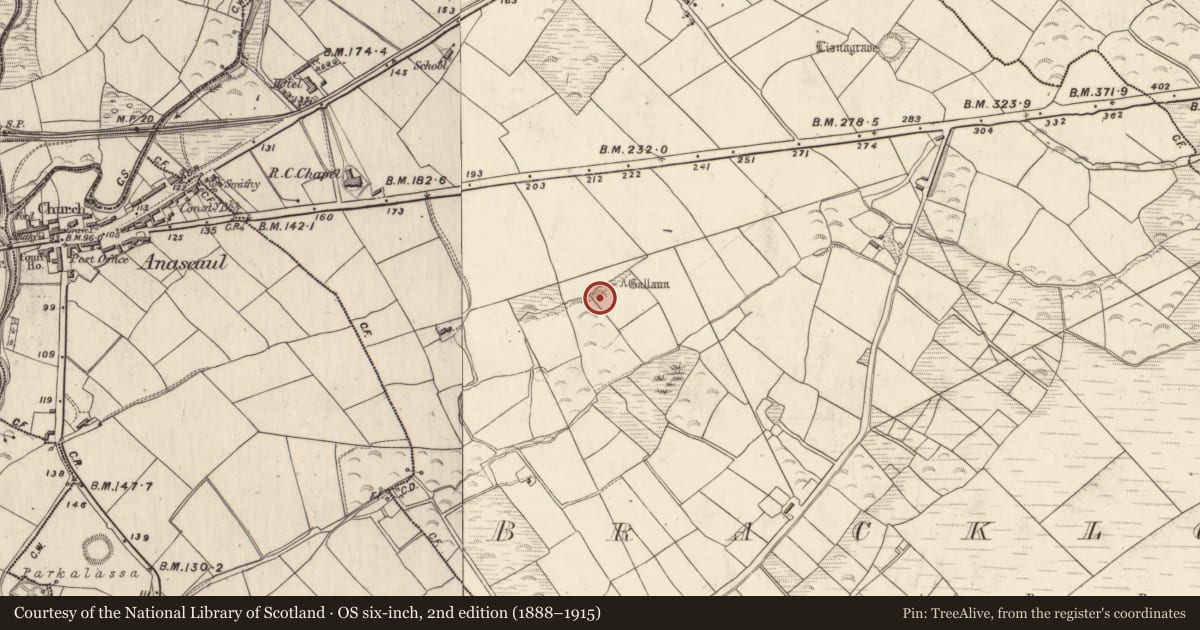 Ordnance Survey six-inch map, 2nd edition (1888–1915) covering the location of Cist, Brackloon, County Kerry, with a pin at the register's coordinates
