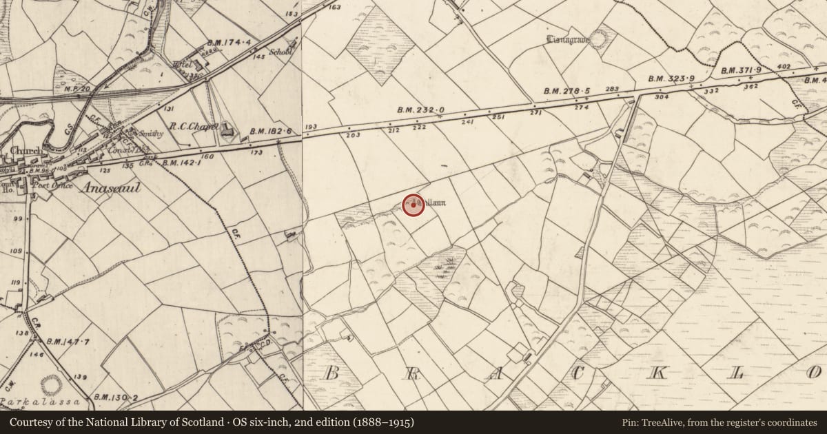 Ordnance Survey six-inch map, 2nd edition (1888–1915) covering the location of Standing stone, Brackloon, County Kerry, with a pin at the register's coordinates