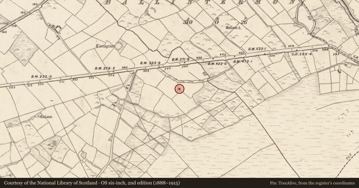 Ordnance Survey six-inch map, 2nd edition (1888–1915) covering the location of Souterrain, Brackloon, County Kerry, with a pin at the register's coordinates