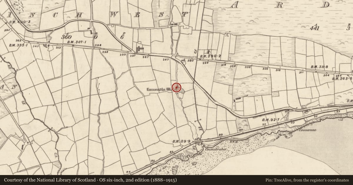 Ordnance Survey six-inch map, 2nd edition (1888–1915) covering the location of Cross-inscribed stone, Inch West, County Kerry, with a pin at the register's coordinates