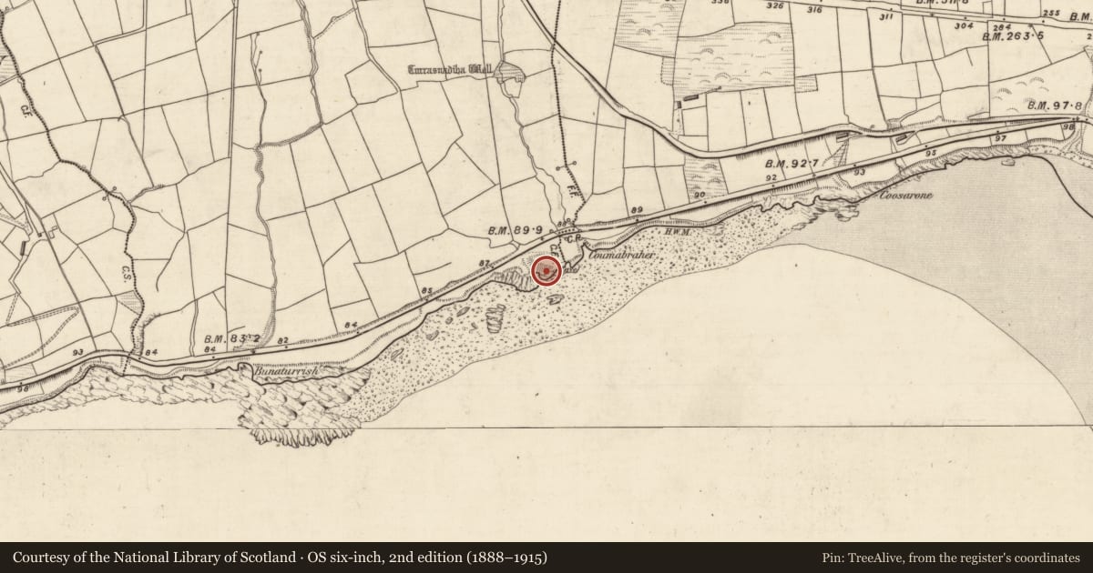 Ordnance Survey six-inch map, 2nd edition (1888–1915) covering the location of Ringfort - rath, Inch West, County Kerry, with a pin at the register's coordinates