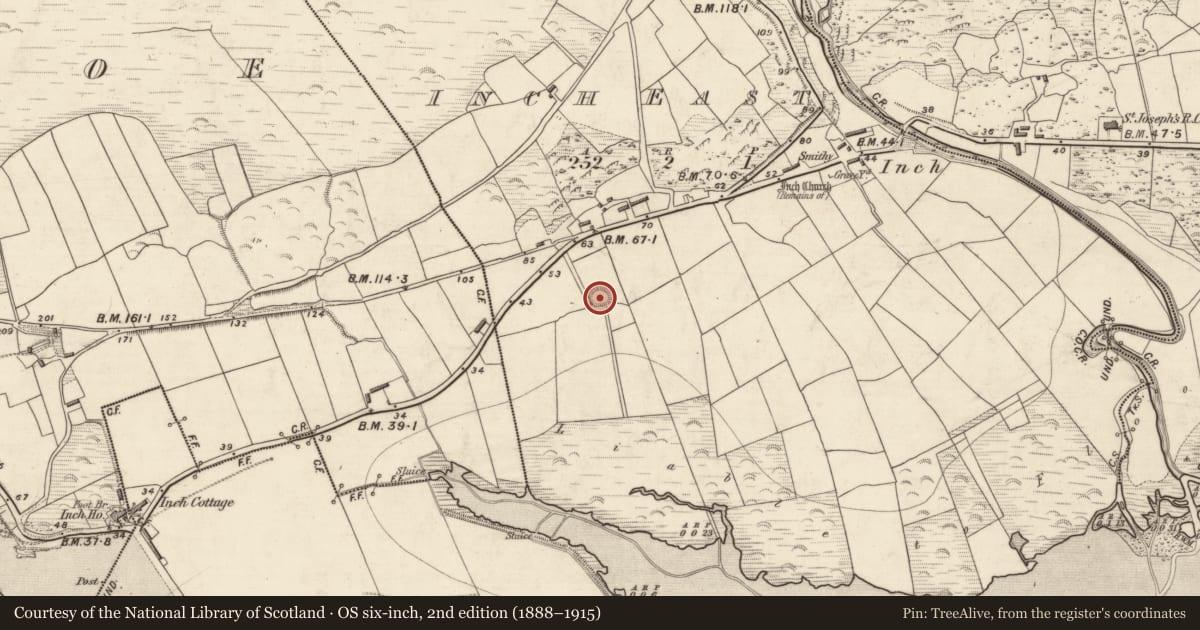 Ordnance Survey six-inch map, 2nd edition (1888–1915) covering the location of Ringfort - rath, Inch East, County Kerry, with a pin at the register's coordinates