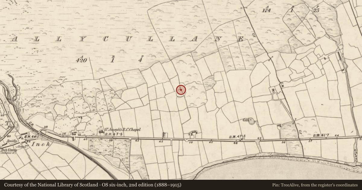 Ordnance Survey six-inch map, 2nd edition (1888–1915) covering the location of Ringfort - cashel, Ballycullane, County Kerry, with a pin at the register's coordinates