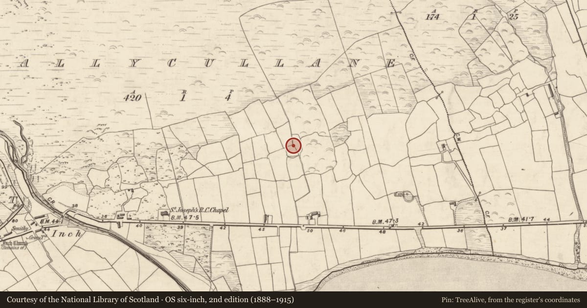 Ordnance Survey six-inch map, 2nd edition (1888–1915) covering the location of Souterrain, Ballycullane, County Kerry, with a pin at the register's coordinates