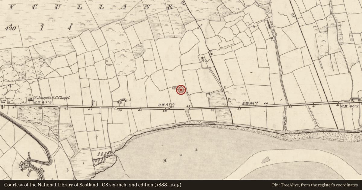 Ordnance Survey six-inch map, 2nd edition (1888–1915) covering the location of Ringfort - cashel, Ballycullane, County Kerry, with a pin at the register's coordinates