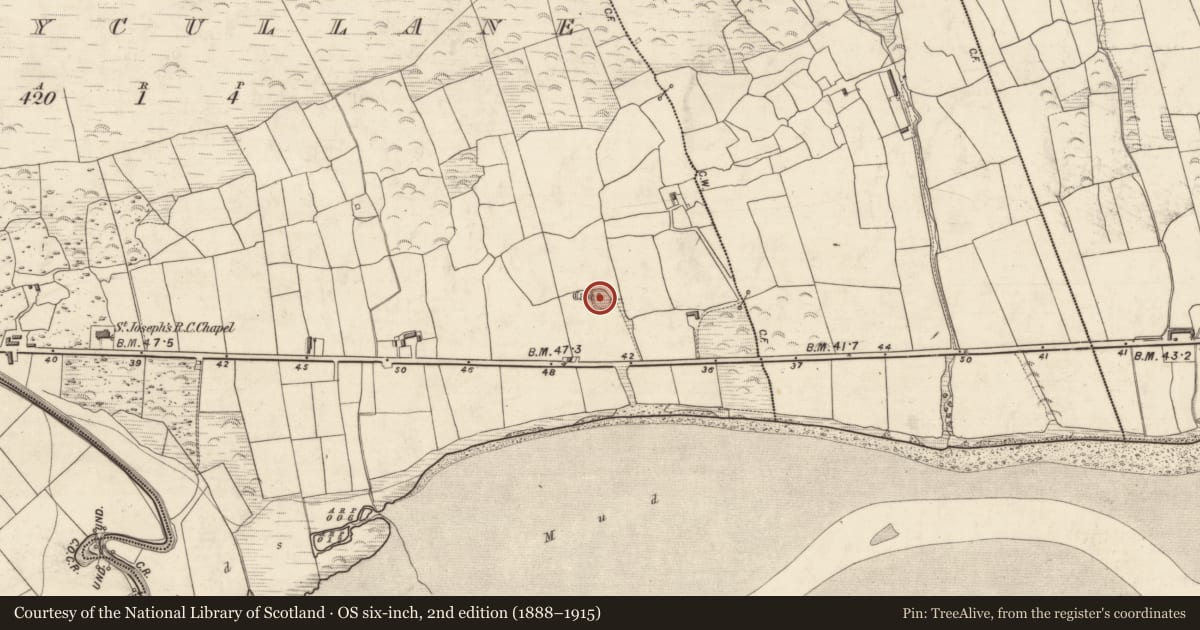 Ordnance Survey six-inch map, 2nd edition (1888–1915) covering the location of Souterrain, Ballycullane, County Kerry, with a pin at the register's coordinates