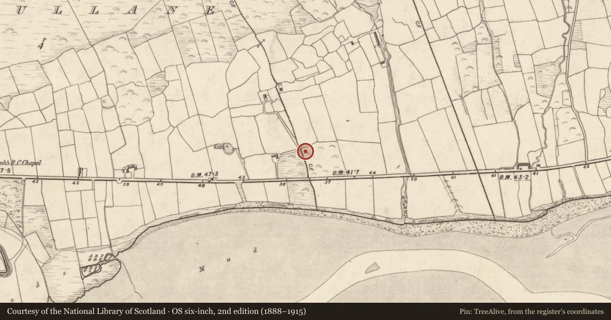 Ordnance Survey six-inch map, 2nd edition (1888–1915) covering the location of Burial, Ballinagroun, County Kerry, with a pin at the register's coordinates