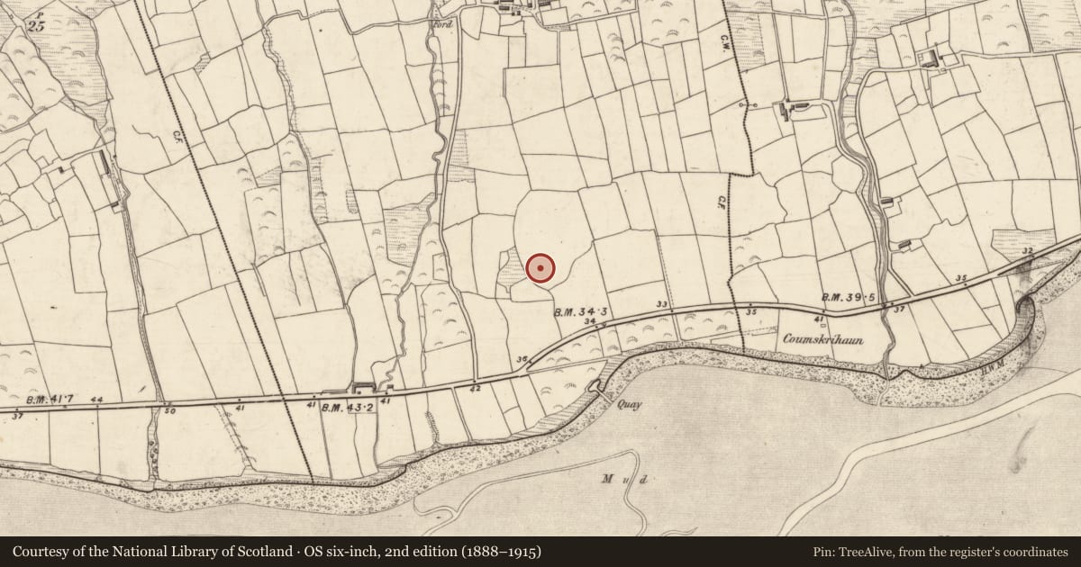 Ordnance Survey six-inch map, 2nd edition (1888–1915) covering the location of Graveyard, Caheracruttera, County Kerry, with a pin at the register's coordinates