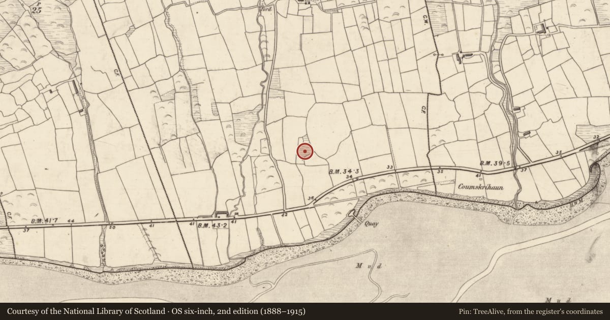 Ordnance Survey six-inch map, 2nd edition (1888–1915) covering the location of Bullaun stone, Caheracruttera, County Kerry, with a pin at the register's coordinates