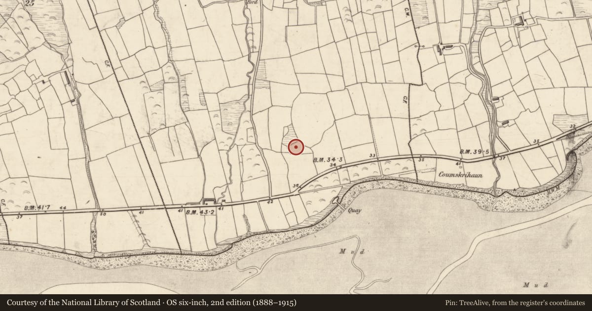 Ordnance Survey six-inch map, 2nd edition (1888–1915) covering the location of Ecclesiastical enclosure, Caheracruttera, County Kerry, with a pin at the register's coordinates