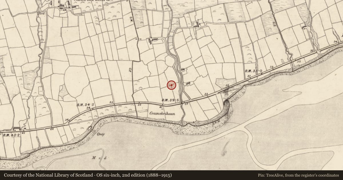 Ordnance Survey six-inch map, 2nd edition (1888–1915) covering the location of Standing stone, Caherpierce, County Kerry, with a pin at the register's coordinates