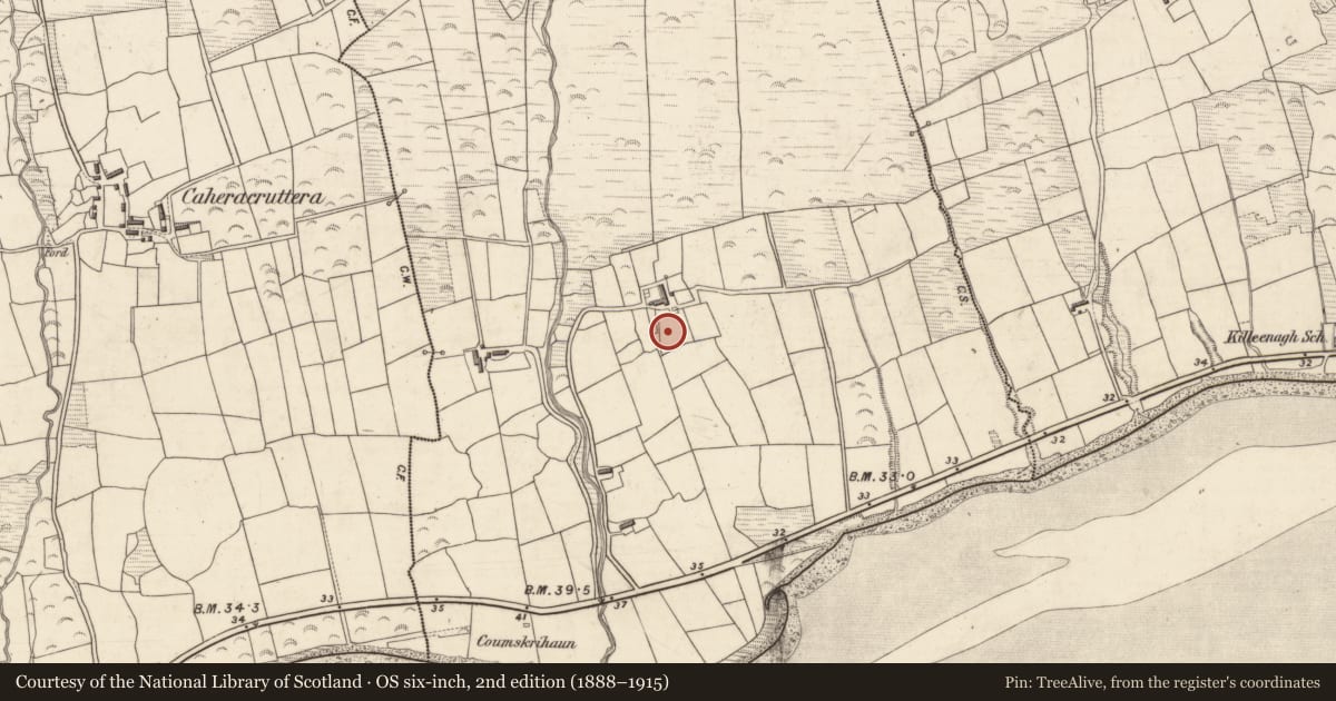 Ordnance Survey six-inch map, 2nd edition (1888–1915) covering the location of Ringfort - cashel, Caherpierce, County Kerry, with a pin at the register's coordinates