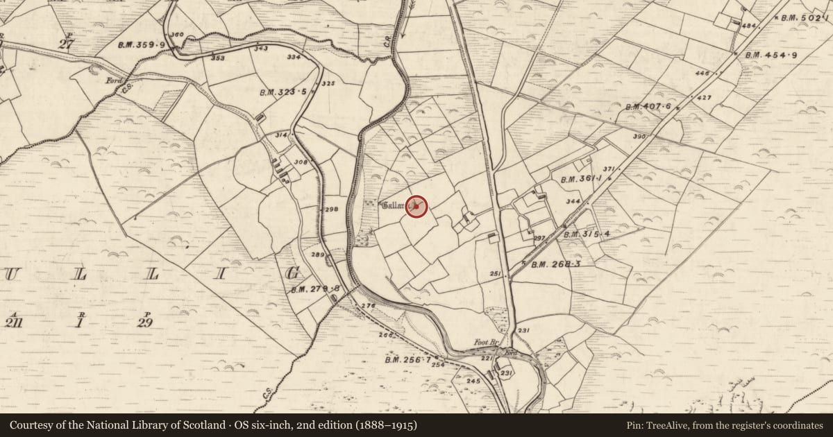Ordnance Survey six-inch map, 2nd edition (1888–1915) covering the location of Standing stone, Emlagh, County Kerry, with a pin at the register's coordinates