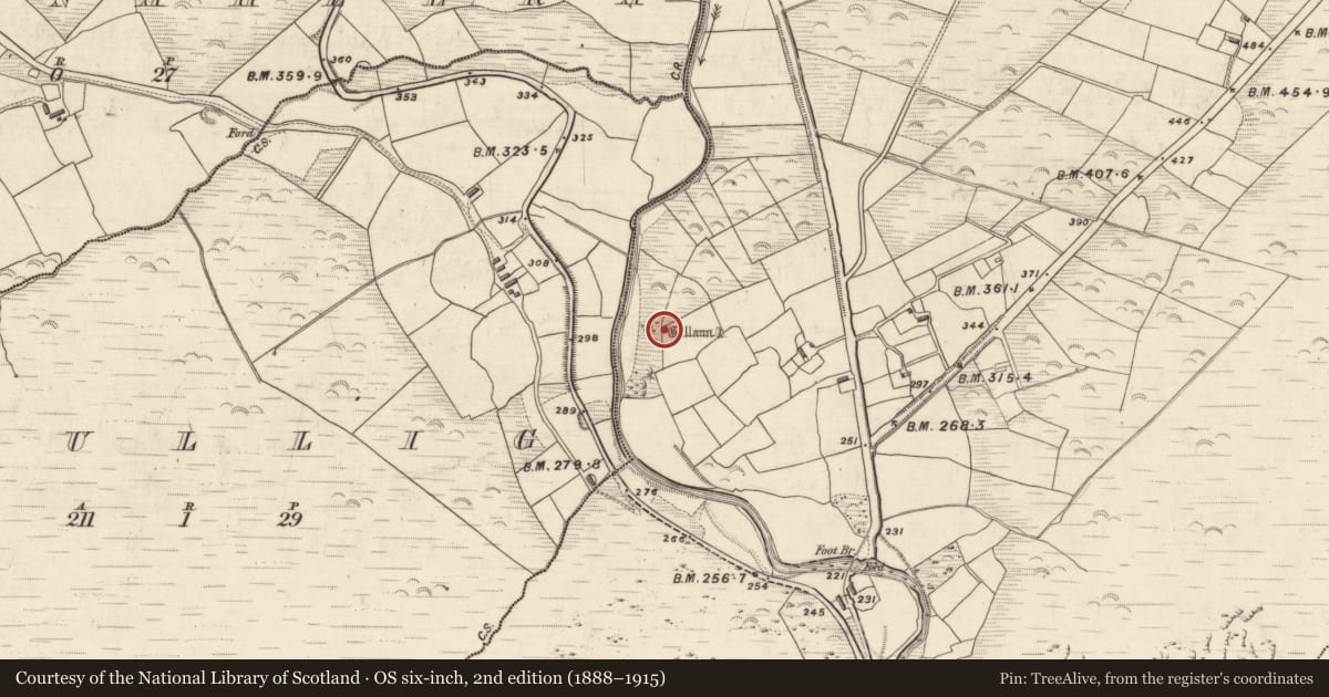 Ordnance Survey six-inch map, 2nd edition (1888–1915) covering the location of Standing stone, Emlagh, County Kerry, with a pin at the register's coordinates