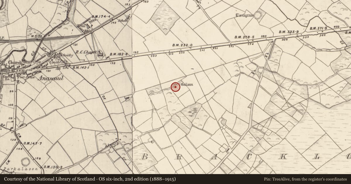 Ordnance Survey six-inch map, 2nd edition (1888–1915) covering the location of Cist, Brackloon, County Kerry, with a pin at the register's coordinates