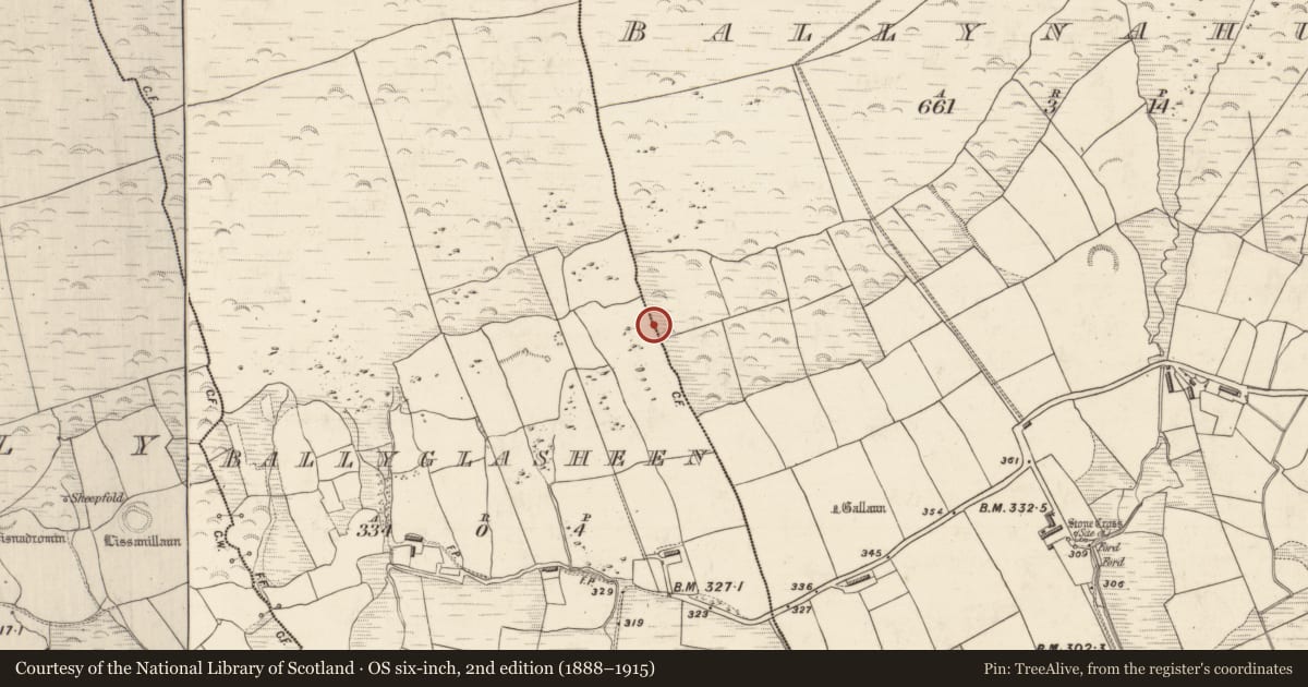 Ordnance Survey six-inch map, 2nd edition (1888–1915) covering the location of Rock art, Baile An Ghlaisín, County Kerry, with a pin at the register's coordinates