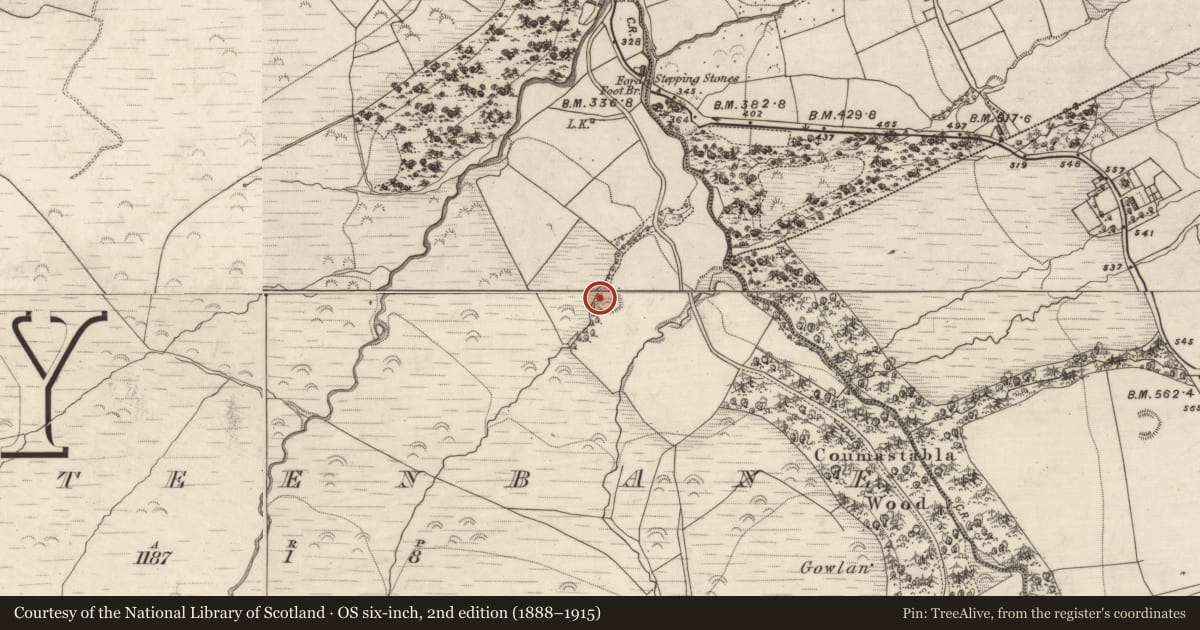 Ordnance Survey six-inch map, 2nd edition (1888–1915) covering the location of Hut site, Kilteenbane, County Kerry, with a pin at the register's coordinates