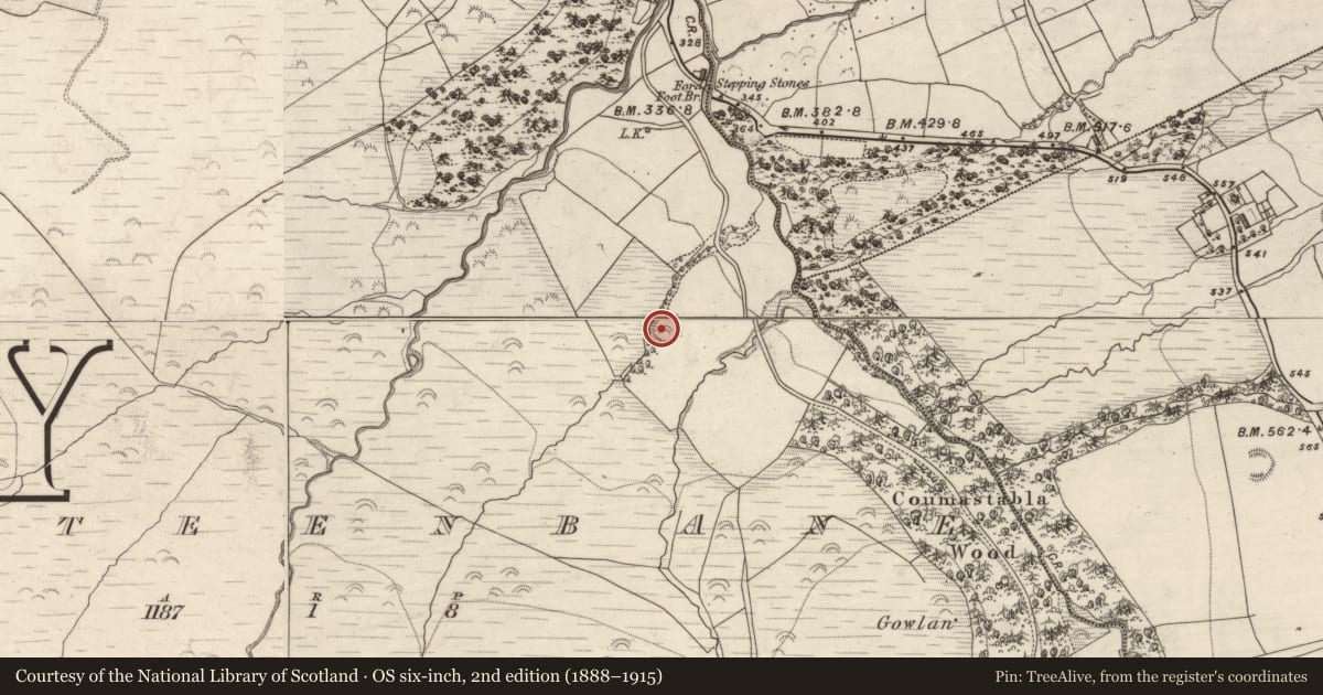 Ordnance Survey six-inch map, 2nd edition (1888–1915) covering the location of Souterrain, Kilteenbane, County Kerry, with a pin at the register's coordinates