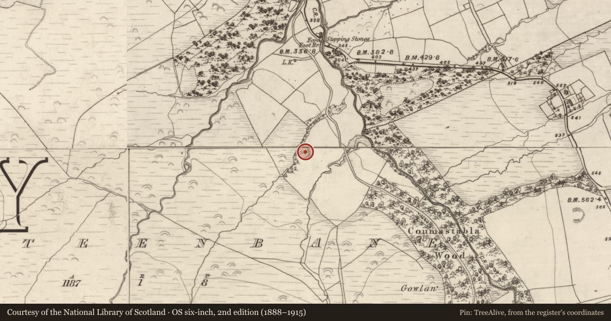 Ordnance Survey six-inch map, 2nd edition (1888–1915) covering the location of Hut site, Kilteenbane, County Kerry, with a pin at the register's coordinates