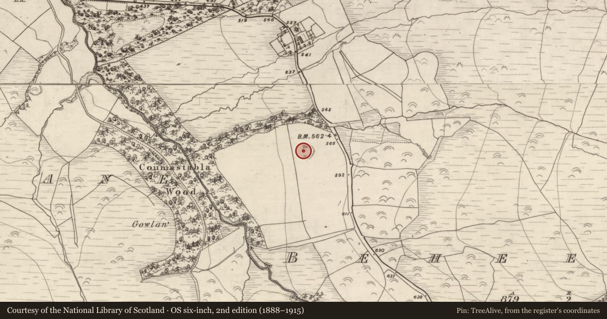 Ordnance Survey six-inch map, 2nd edition (1888–1915) covering the location of Ringfort - rath, Beheenagh, County Kerry, with a pin at the register's coordinates