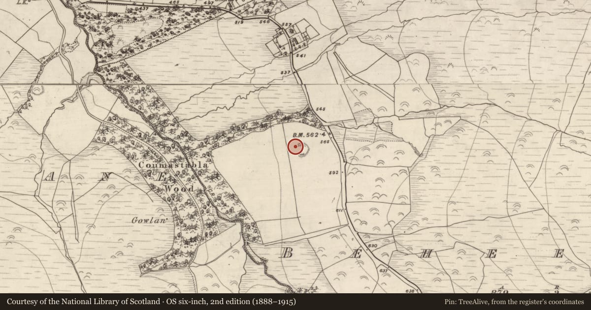 Ordnance Survey six-inch map, 2nd edition (1888–1915) covering the location of Hut site, Beheenagh, County Kerry, with a pin at the register's coordinates