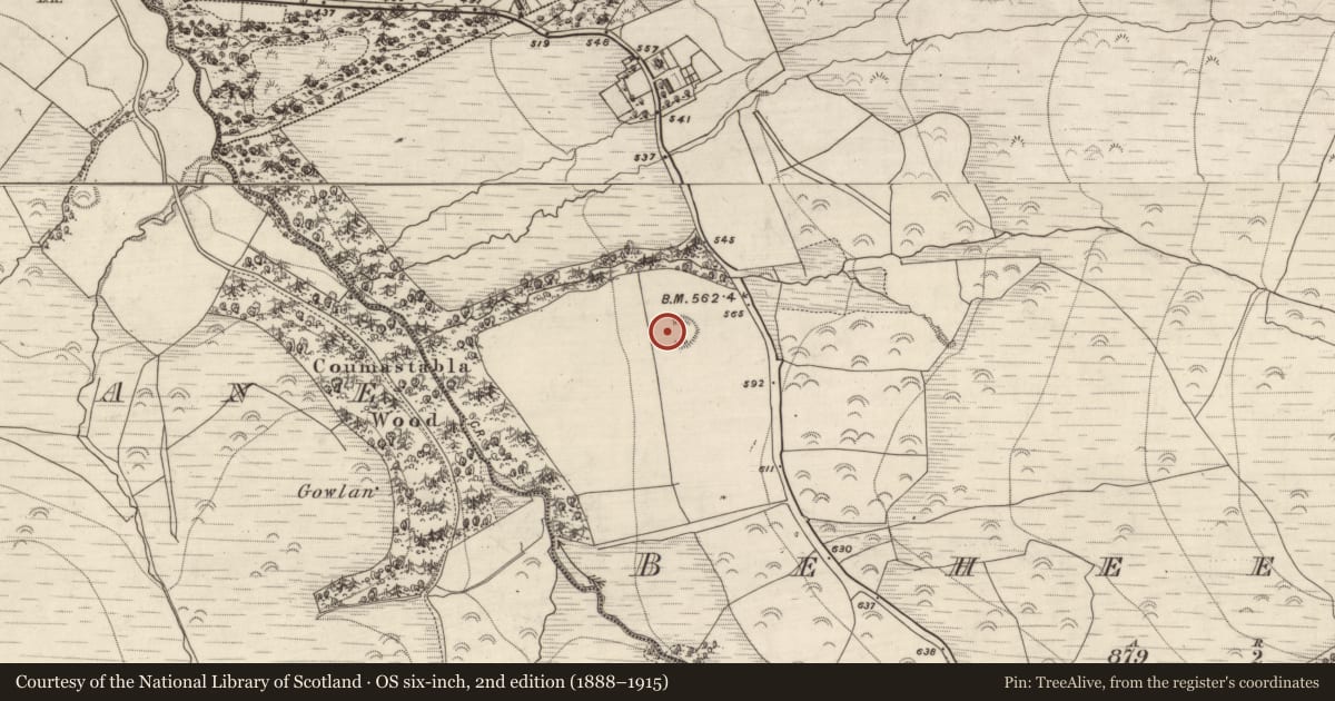 Ordnance Survey six-inch map, 2nd edition (1888–1915) covering the location of Hut site, Beheenagh, County Kerry, with a pin at the register's coordinates