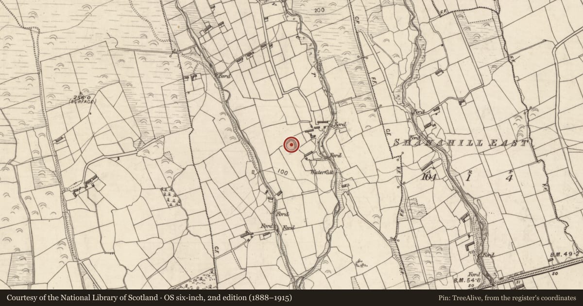 Ordnance Survey six-inch map, 2nd edition (1888–1915) covering the location of Ringfort - rath, Shanahill, County Kerry, with a pin at the register's coordinates