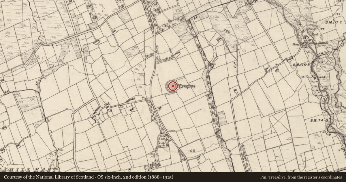 Ordnance Survey six-inch map, 2nd edition (1888–1915) covering the location of Ringfort - rath, Caherfealane, County Kerry, with a pin at the register's coordinates
