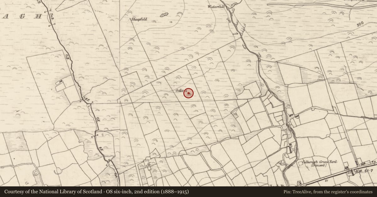 Ordnance Survey six-inch map, 2nd edition (1888–1915) covering the location of Standing stone, Lack, County Kerry, with a pin at the register's coordinates