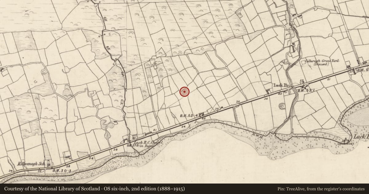 Ordnance Survey six-inch map, 2nd edition (1888–1915) covering the location of Ringfort - cashel, Lack, County Kerry, with a pin at the register's coordinates