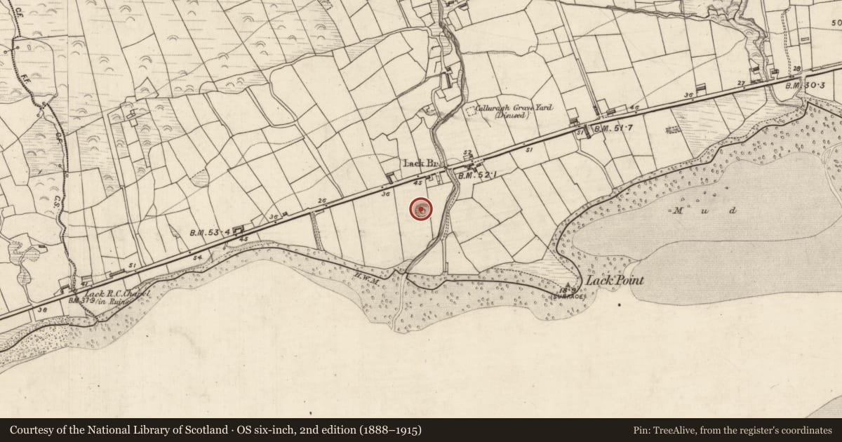 Ordnance Survey six-inch map, 2nd edition (1888–1915) covering the location of Ringfort - cashel, Lack, County Kerry, with a pin at the register's coordinates