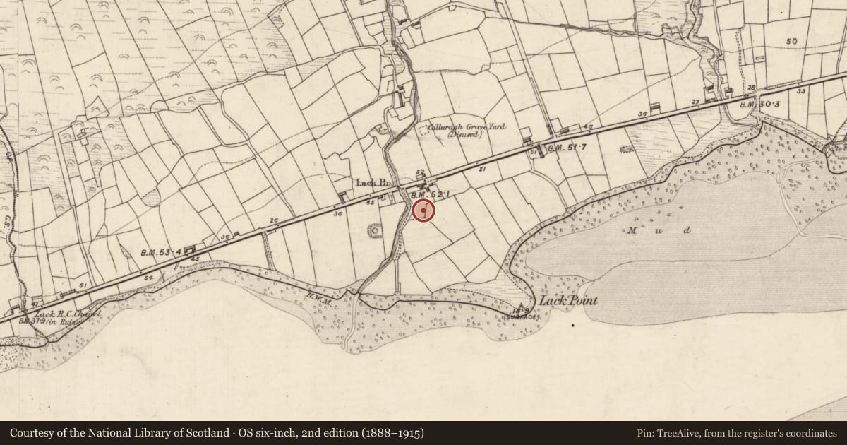 Ordnance Survey six-inch map, 2nd edition (1888–1915) covering the location of Ringfort - rath, Lack, County Kerry, with a pin at the register's coordinates