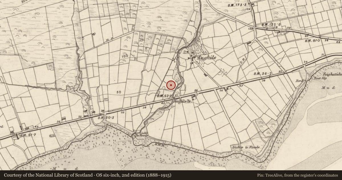 Ordnance Survey six-inch map, 2nd edition (1888–1915) covering the location of Standing stone, Aughils, County Kerry, with a pin at the register's coordinates