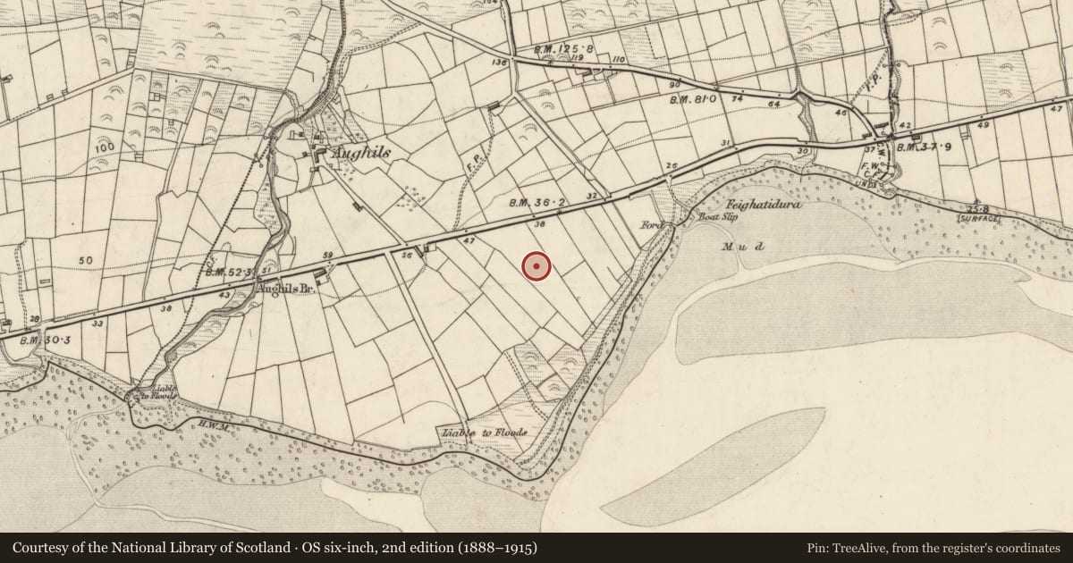 Ordnance Survey six-inch map, 2nd edition (1888–1915) covering the location of Souterrain, Aughils, County Kerry, with a pin at the register's coordinates