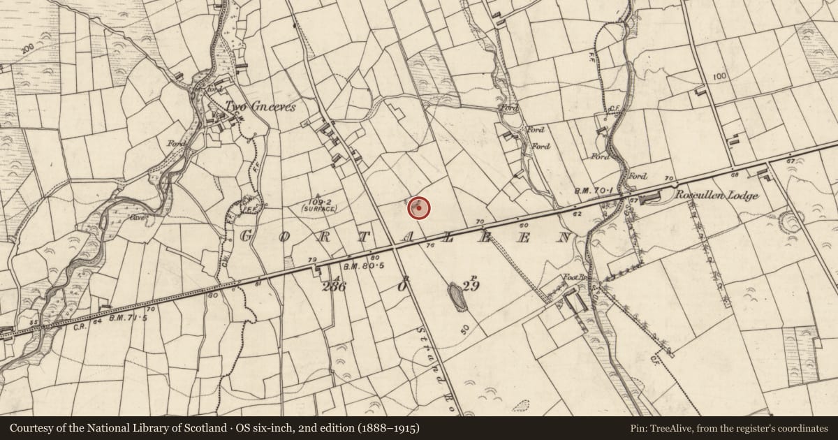 Ordnance Survey six-inch map, 2nd edition (1888–1915) covering the location of Ringfort - rath, Gortaleen, County Kerry, with a pin at the register's coordinates