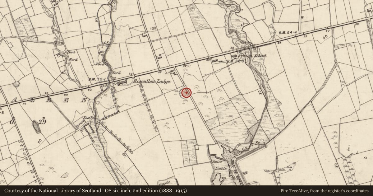 Ordnance Survey six-inch map, 2nd edition (1888–1915) covering the location of Ringfort - rath, Fybagh, County Kerry, with a pin at the register's coordinates
